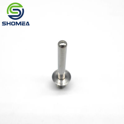 SHOMEA Custom 304/316 one round closed end Stainless steel temperature probe