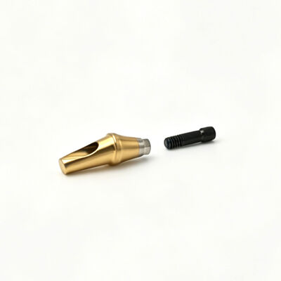 Customized TC4 Titanium Alloy Angled Abutment Component (Made to Customer Drawing)