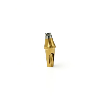 Customized TC4 Titanium Alloy Angled Abutment Component (Made to Customer Drawing)